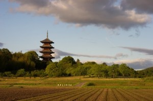 遺品整理で出た位牌や仏壇、どう処分したらいいの？