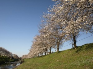 遺品の扱いが雑！？遺品整理時のトラブルにご注意