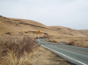 故人が残しているかもしれない遺言書の探し方とは